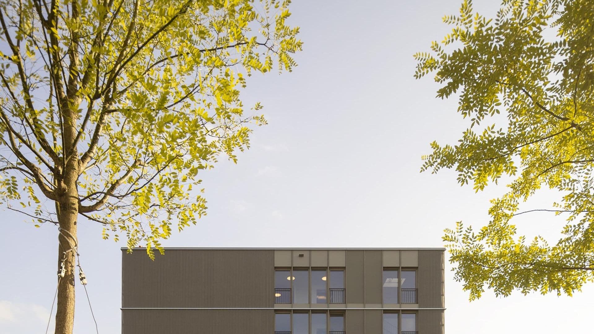 Quartier des Cedres -Etapes 1-2