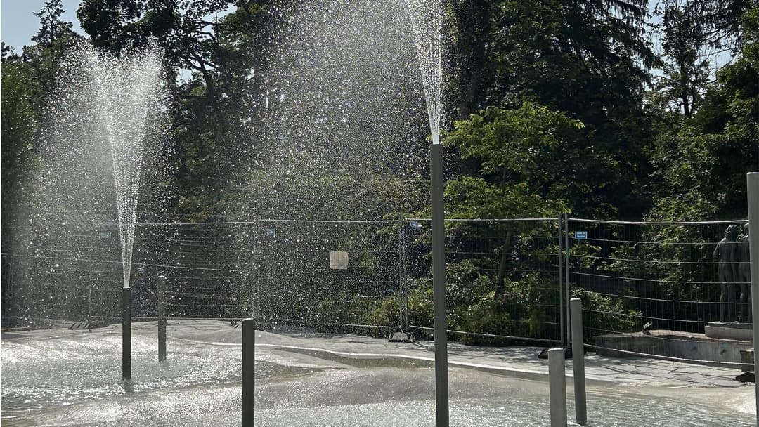 Fontaine ludique, Muzoo