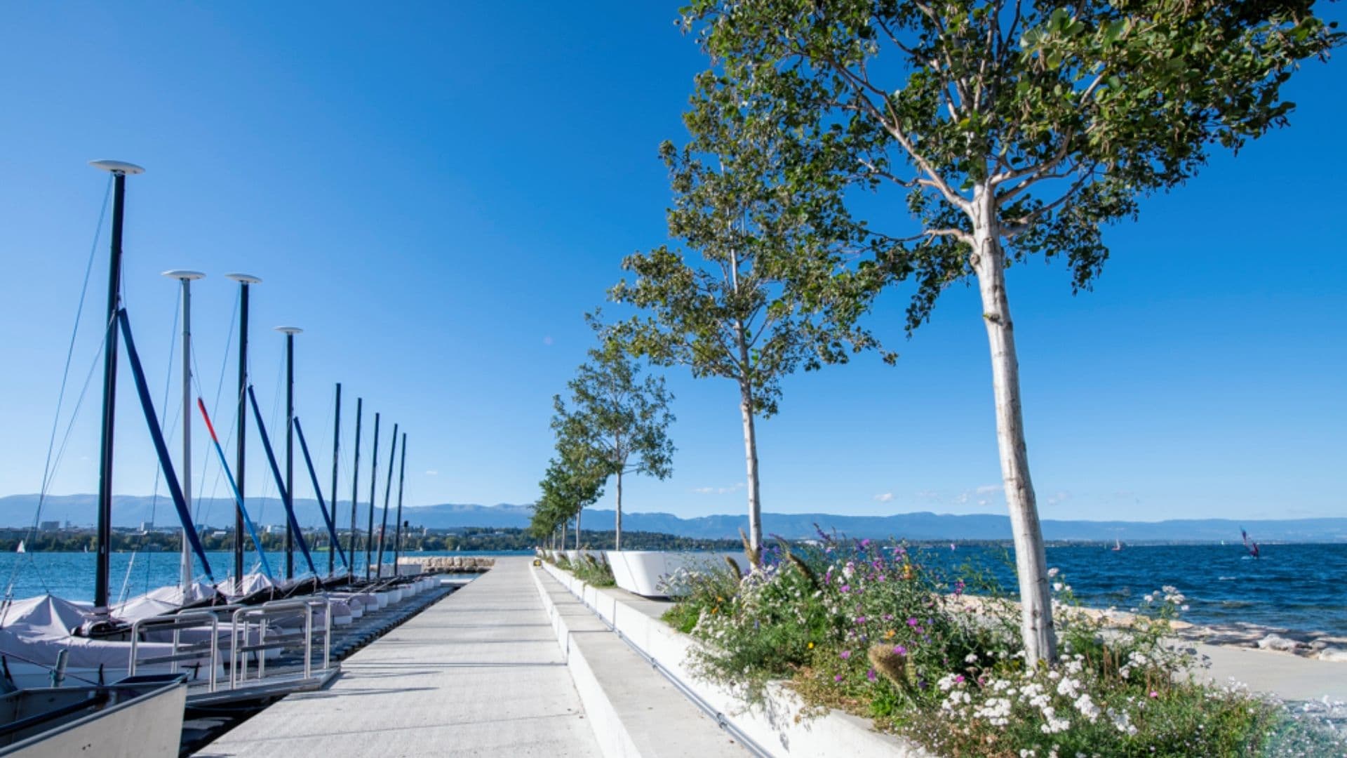 Agrandissement du port de la SNG